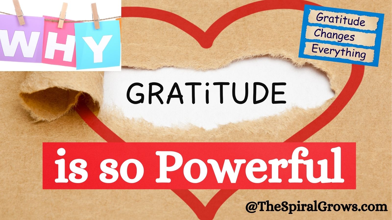 Why Gratitude is so Powerful
