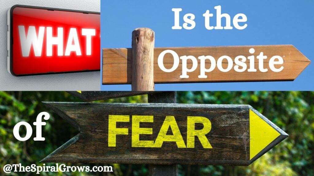 what-is-the-opposite-of-fear-the-spiral-grows