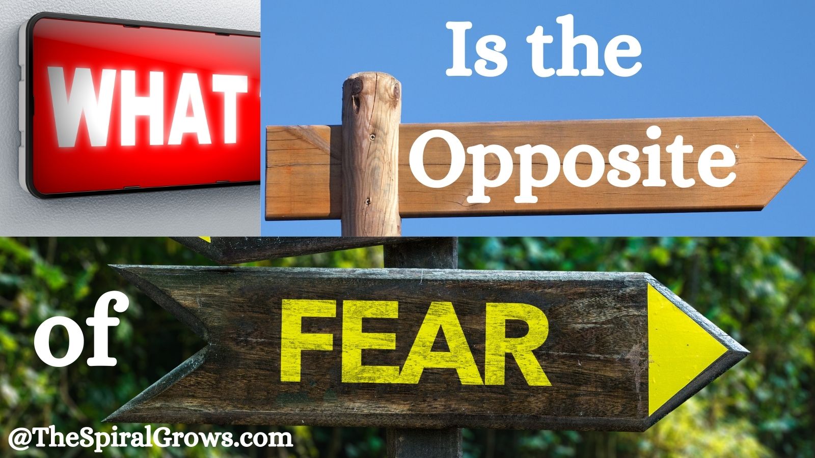 What is the Opposite of Fear